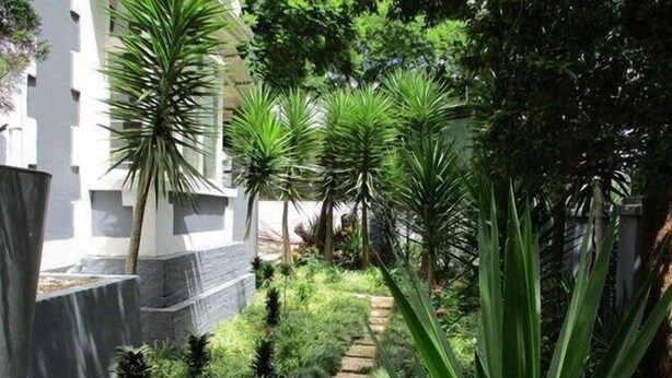 Unclassified image, 1 of 16, button - 6th & 9th Melville Guest House (Johannesburg)