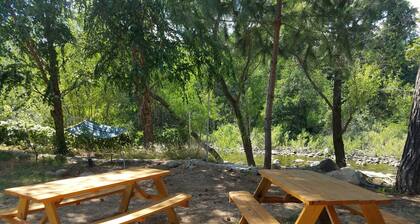Relax Swim and BBQ at Sierra River House