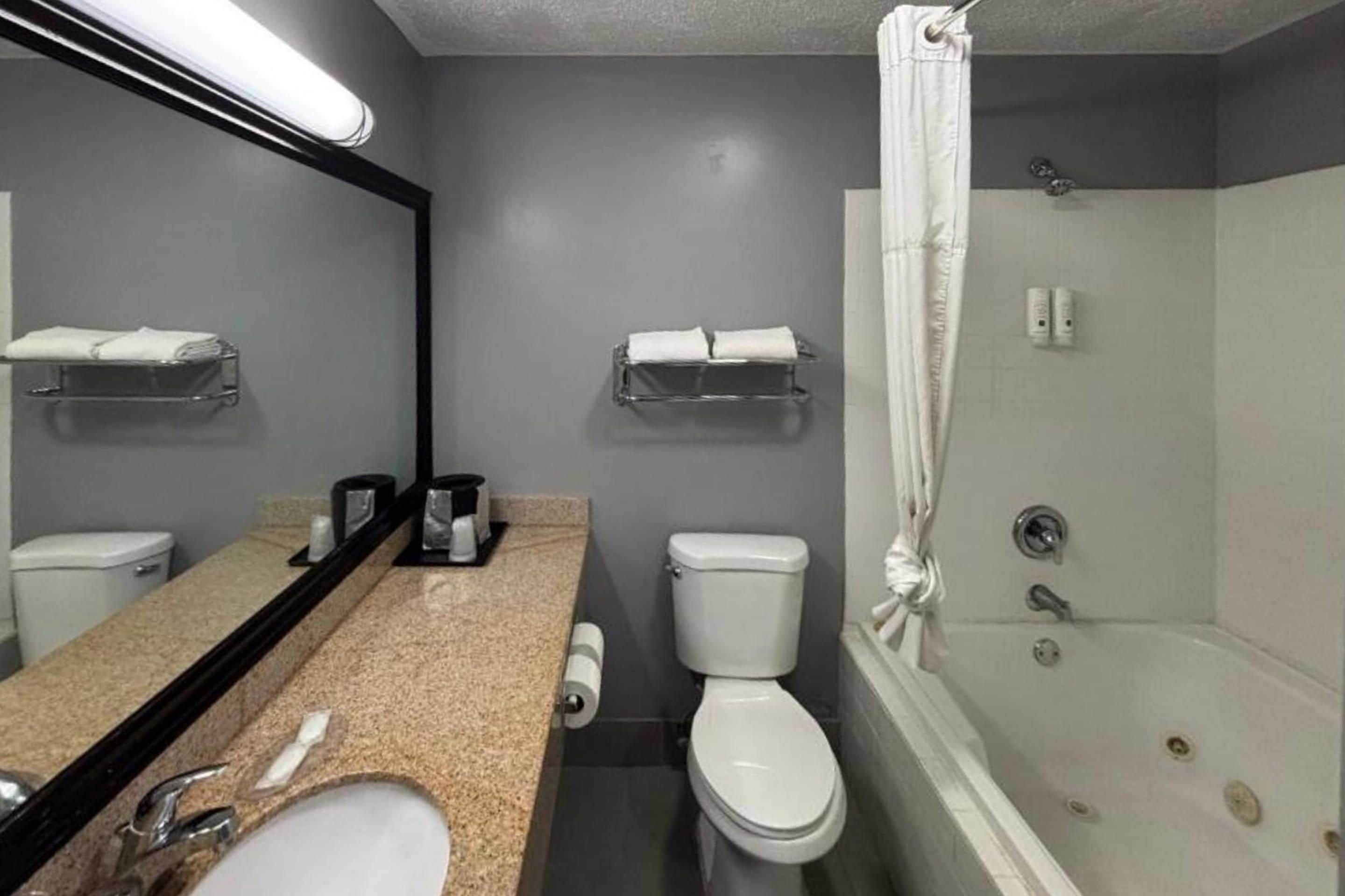 Un baño con lavamanos, espejo, inodoro y ducha.