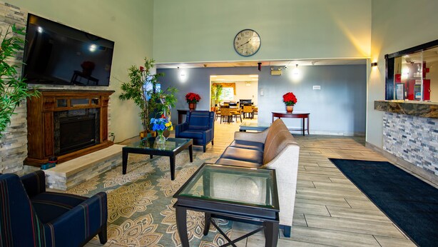 Un salon spacieux doté d’une cheminée, de sièges confortables, d’un téléviseur et de plantes décoratives.