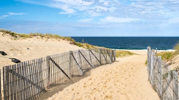 Plage à proximité, chaises longues, parasols, serviettes de plage