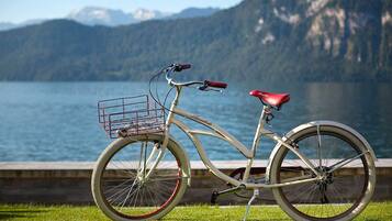 A bicycle with a basket and a red seat, parked on grass with a lake and mountains in the background.