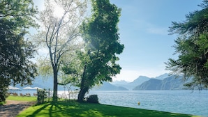 Vista de un lago con zona verde, árboles y cielo despejado.