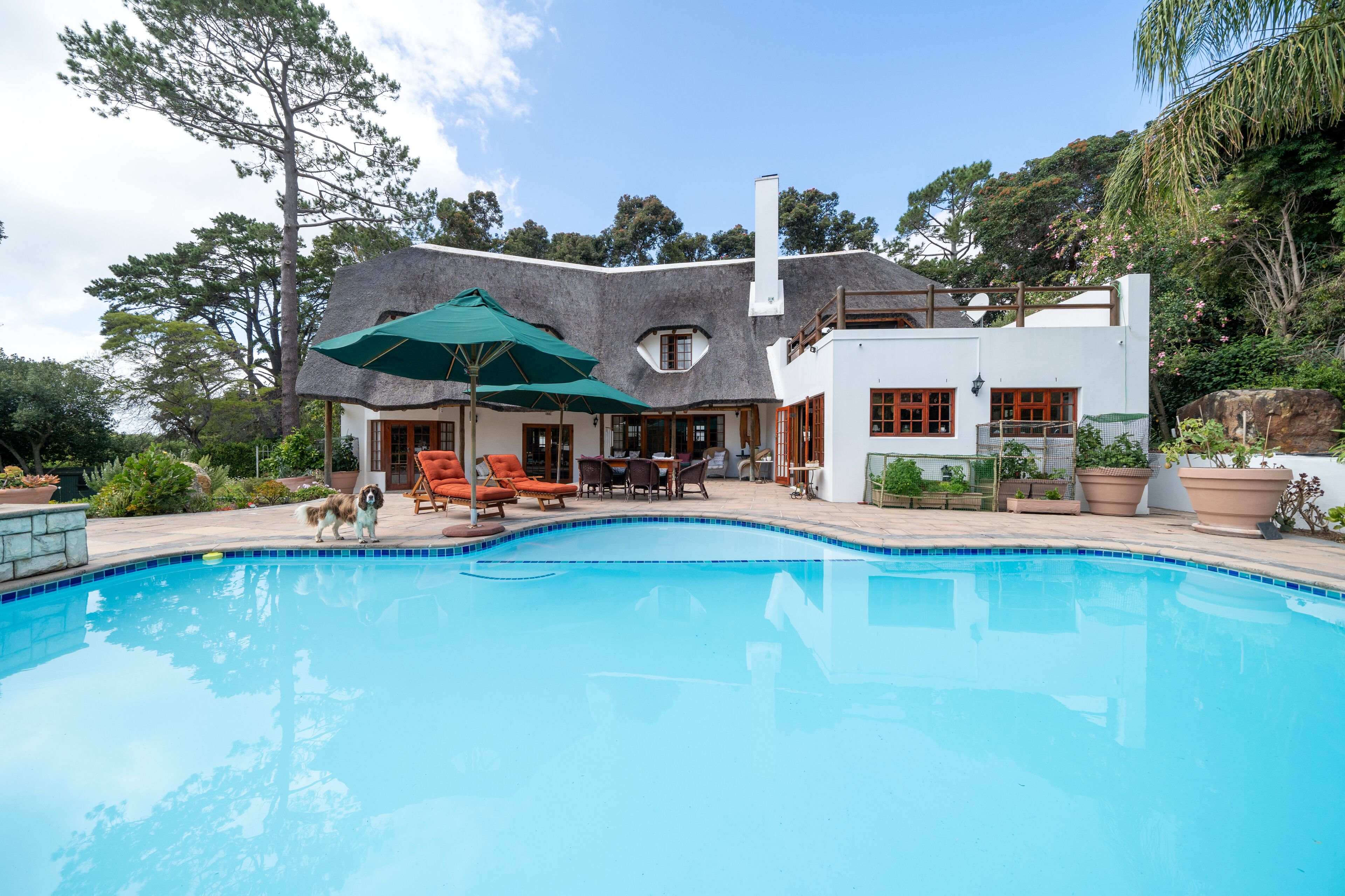 Outdoor pool, pool umbrellas, pool loungers