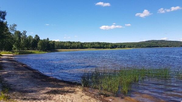 بالقرب من الشاطئ