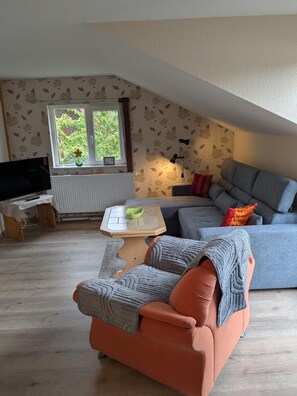Fernseher
