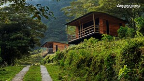 Una cabaña de madera con balcón, rodeada de exuberante follaje y un sendero que lleva a ella.