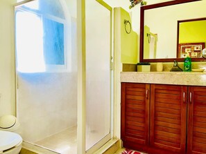 Shower, jetted bath, hair dryer, towels