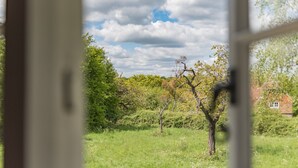 Vista a través de una ventana que muestra un campo cubierto de césped, árboles y una casa al fondo.