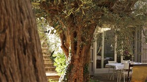 Outdoor dining - In a farmhouse in the hills, with garden and pool (Pesaro)