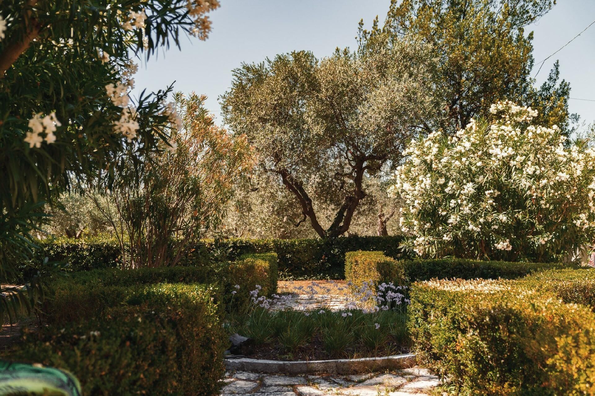 Jardines del alojamiento