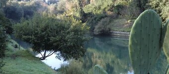 Holiday apartment Ansedonia for 2 persons with 1 bedroom - Holiday house