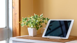 Radiador blanco con una computadora portátil y una planta en su parte superior.