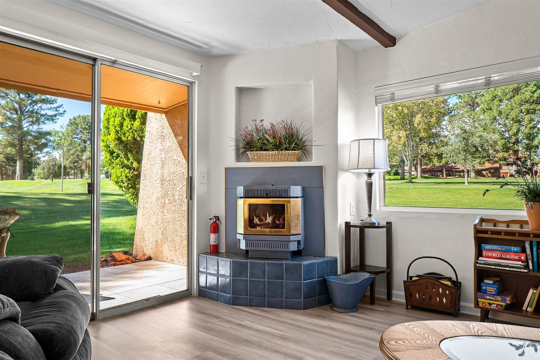 Télévision, cheminée, lecteur de DVD