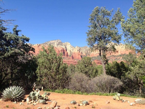 A desert landscape with red rock formations, cacti, and trees.