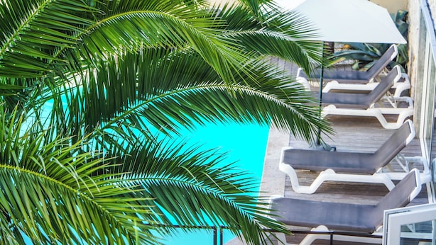 A poolside area with lounge chairs and a palm tree. - Hotel Le Square (Saint-Pierre-d'Oleron)