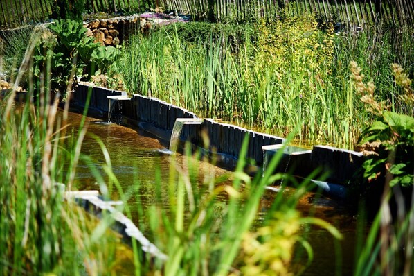 Alberca al aire libre 
