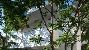 Garden - Apartmani Mia (Sveti Stefan)