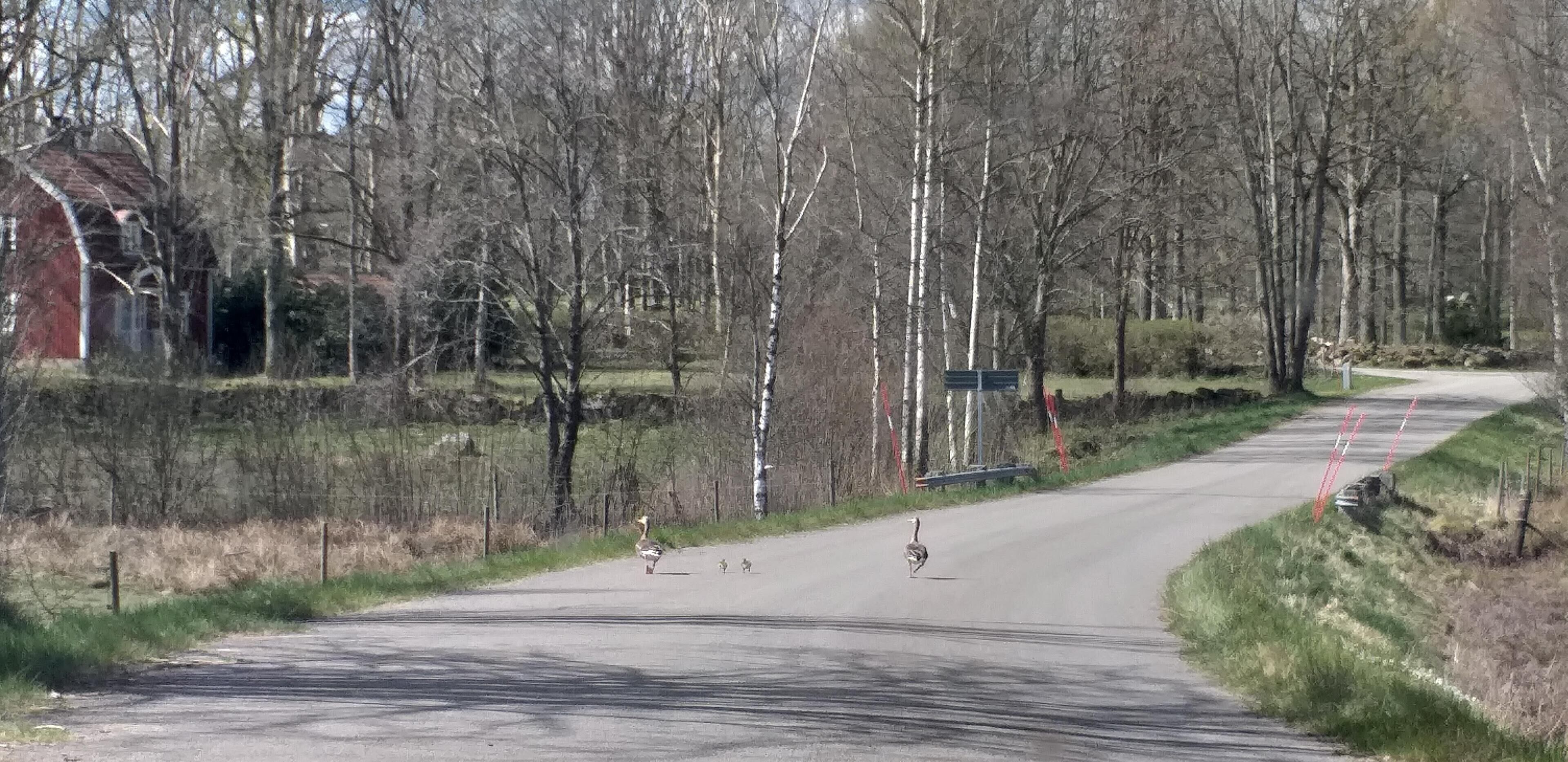 Un camino rural con un granero a la izquierda y un área boscosa.