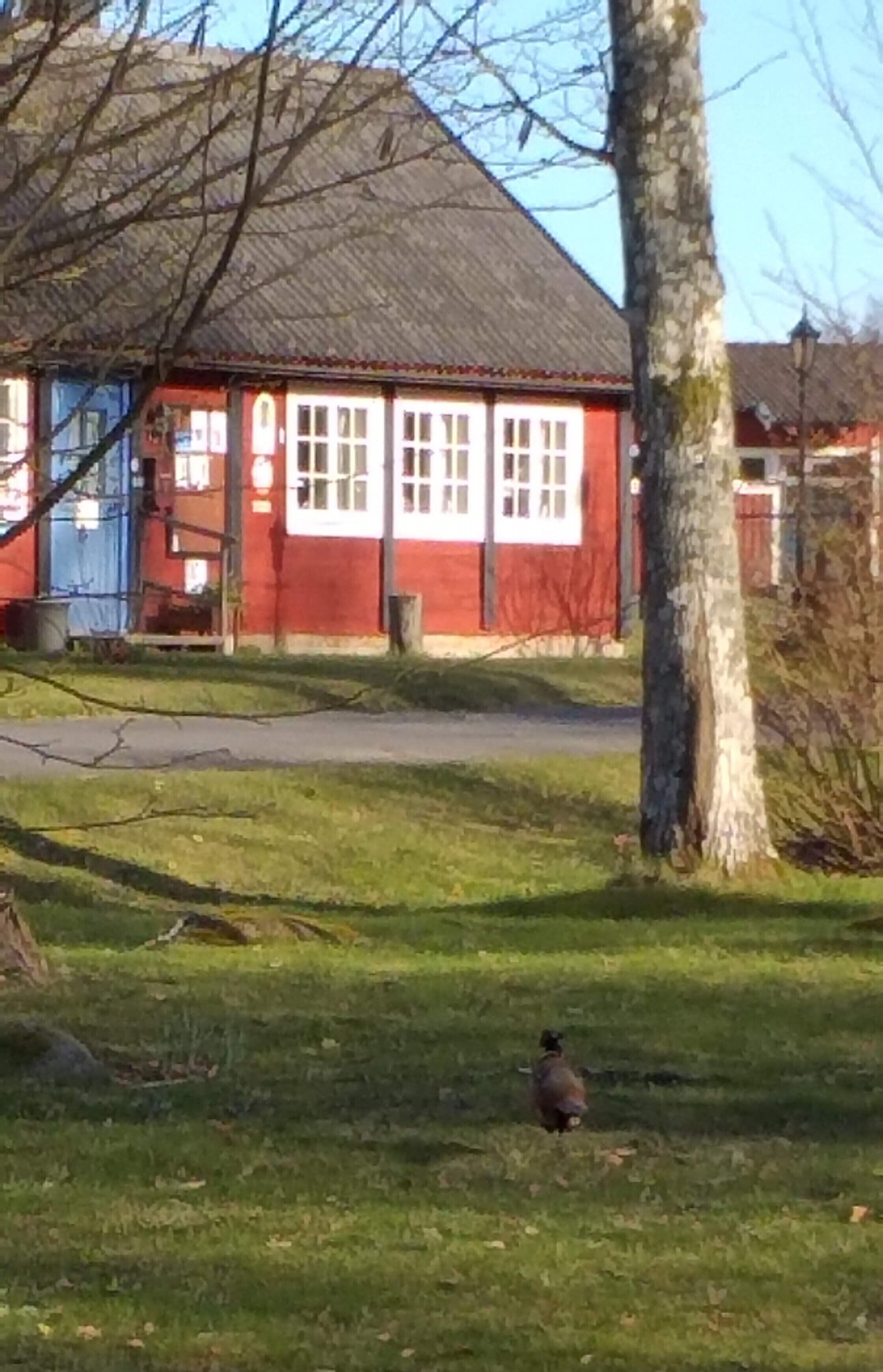 Un bâtiment rouge aux fenêtres blanches, un arbre au premier plan et une zone herbeuse.
