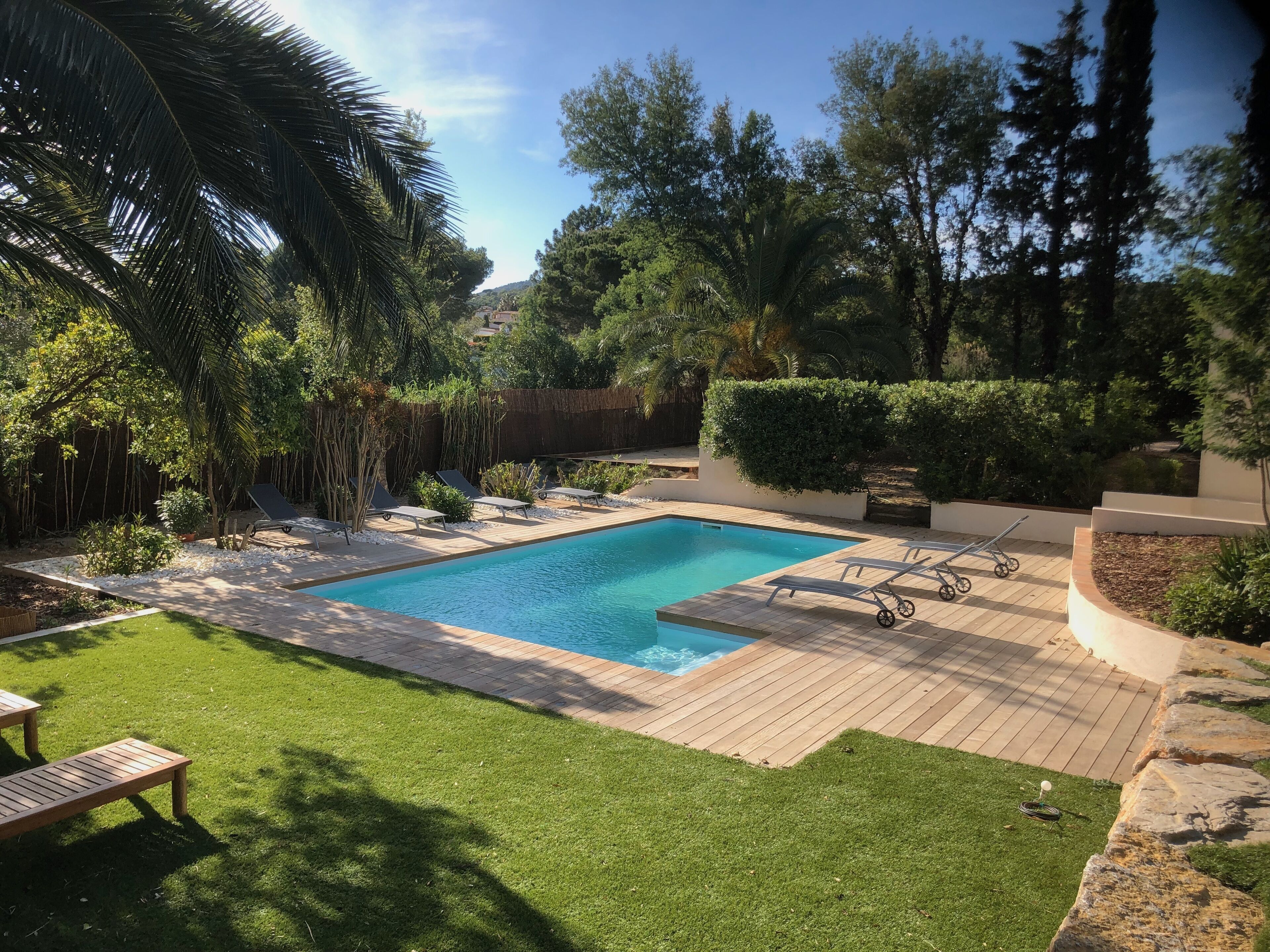 Piscina rectangular con solárium alicatado, rodeada de césped cuidado y diferentes plantas.
