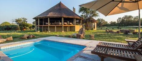 Outdoor pool, sun loungers