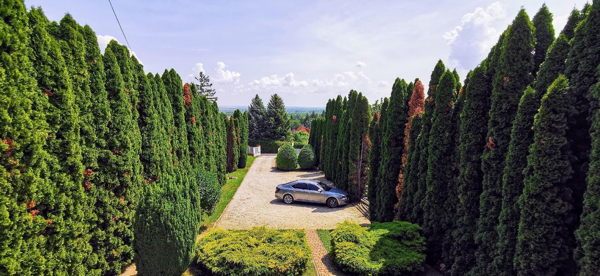 Overnattingsstedets uteområder