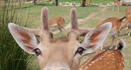 Quinta das origens - Balance studio