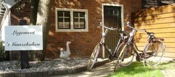 Holiday house Vriescheloo for 1 - 2 persons with 1 bedroom - Holiday apartment in one or multi-famil