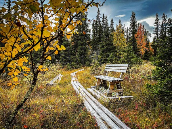 Overnattingsstedets uteområder