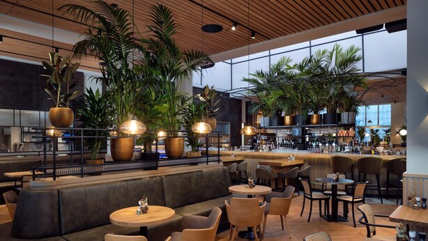 Uma área de bar moderna com assentos, plantas grandes em vasos e um balcão.