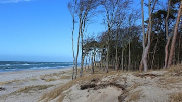In Strandnähe