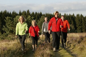 Un grupo de personas caminando por un bosque.