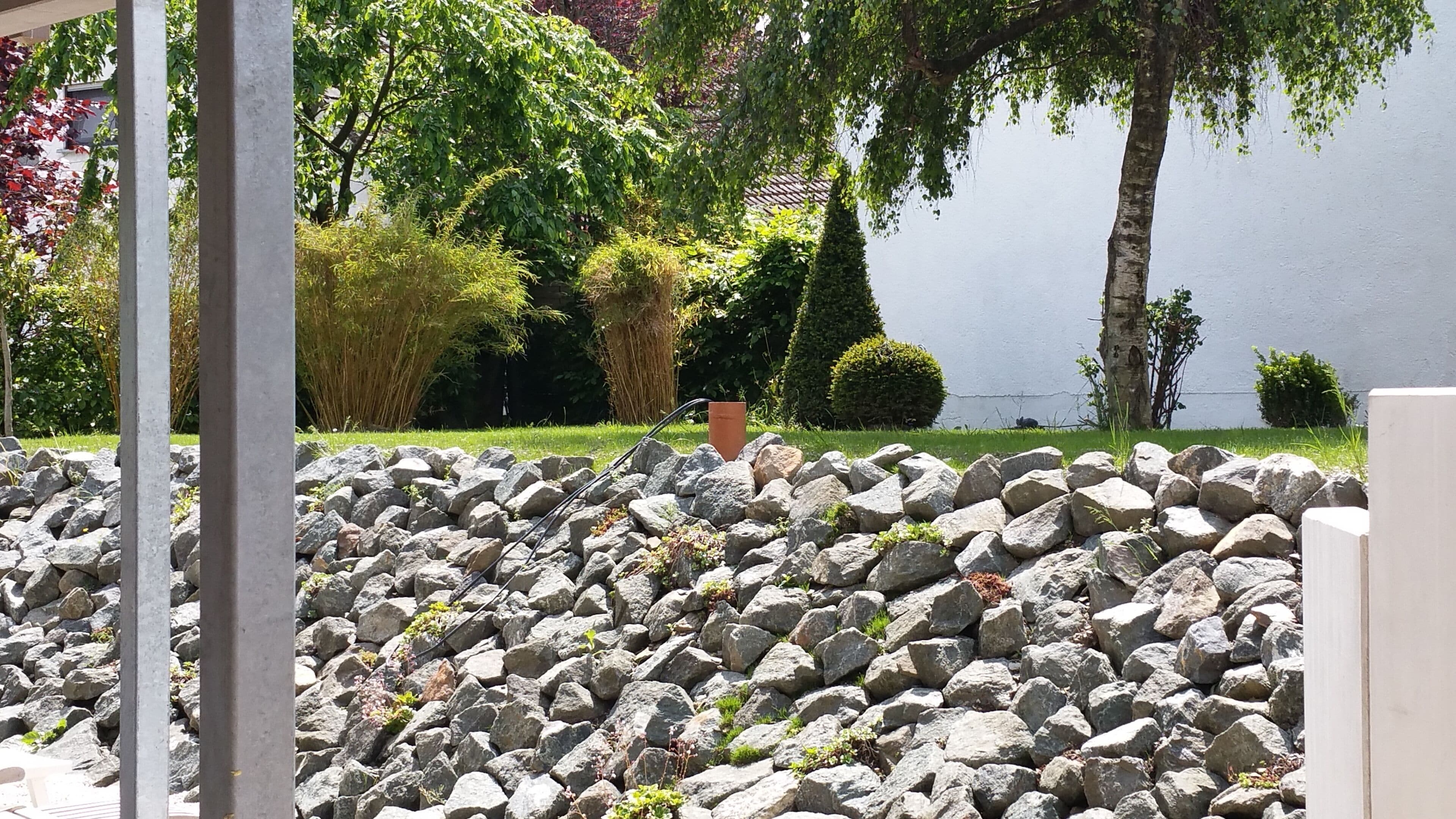 Een tuin met een stenen muur, diverse planten en bomen.