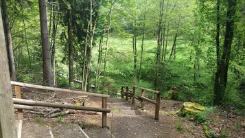 Caminatas