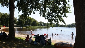 Oklassificerad bild, 5 av 15, knapp