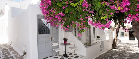 Detalle exterior