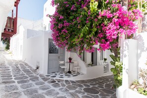 A narrow street with white buildings, a stone-paved path, and a pink flowering tree. - Lirous Studios (Mykonos)
