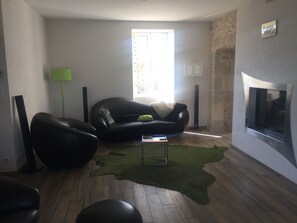 Televisión, chimenea, reproductor de DVD y libros 