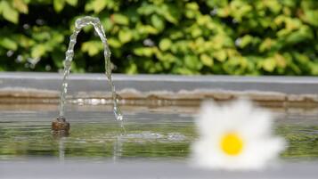Una fuente con agua fluyendo hacia una pileta, rodeada de follaje.