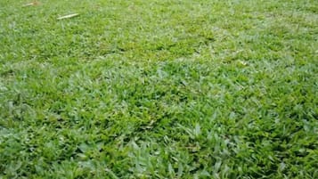 Jardin