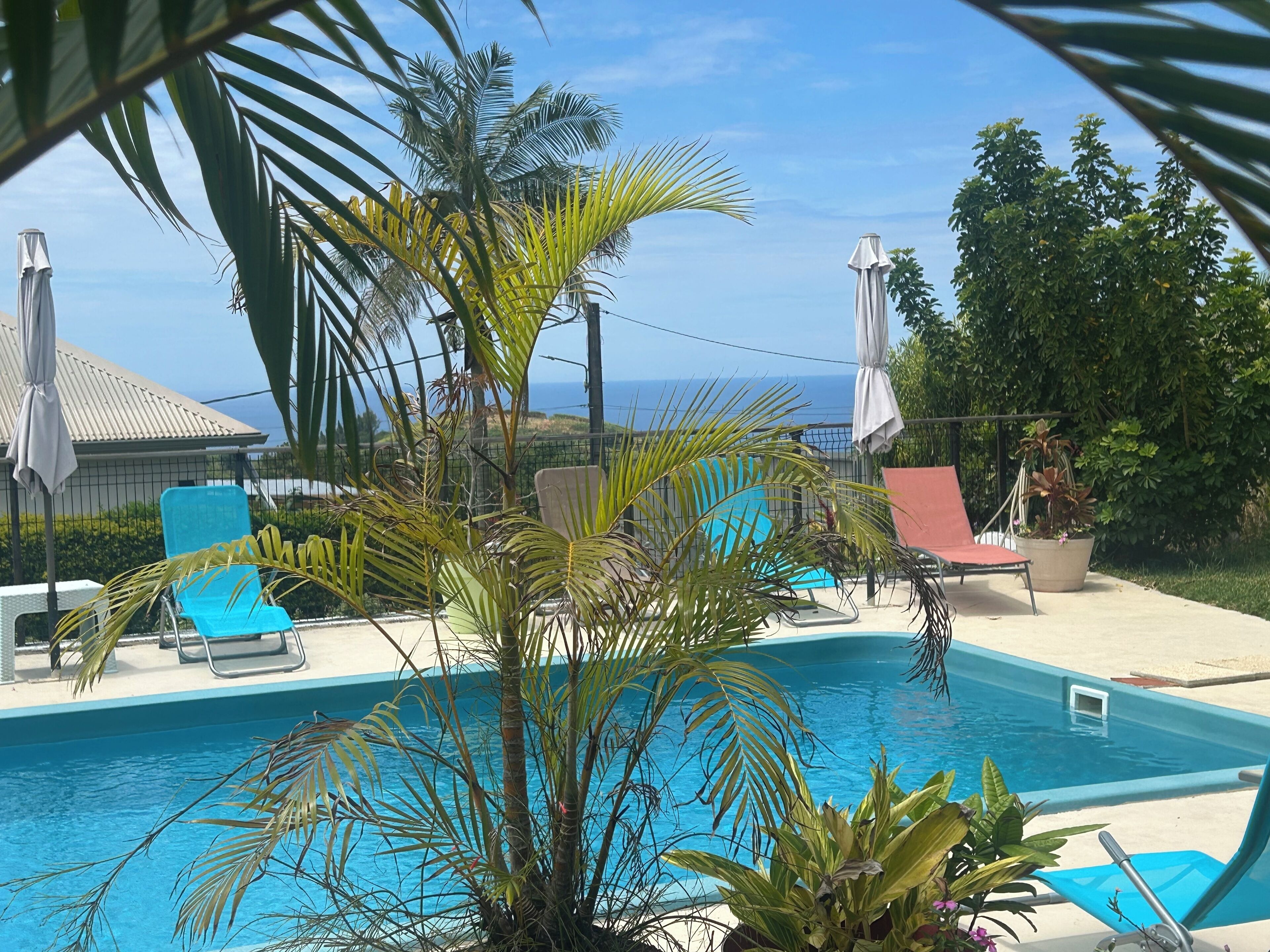 Un espace piscine équipé de chaises longues, de parasols et offrant une vue sur l’océan.