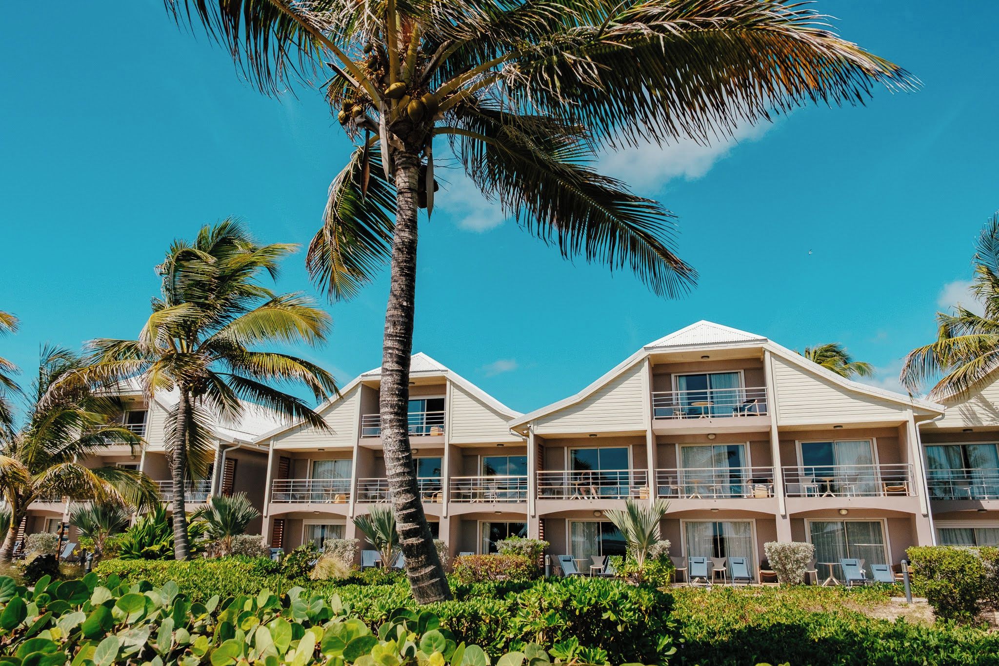A multi-story hotel with balconies, surrounded by palm trees and lush greenery.