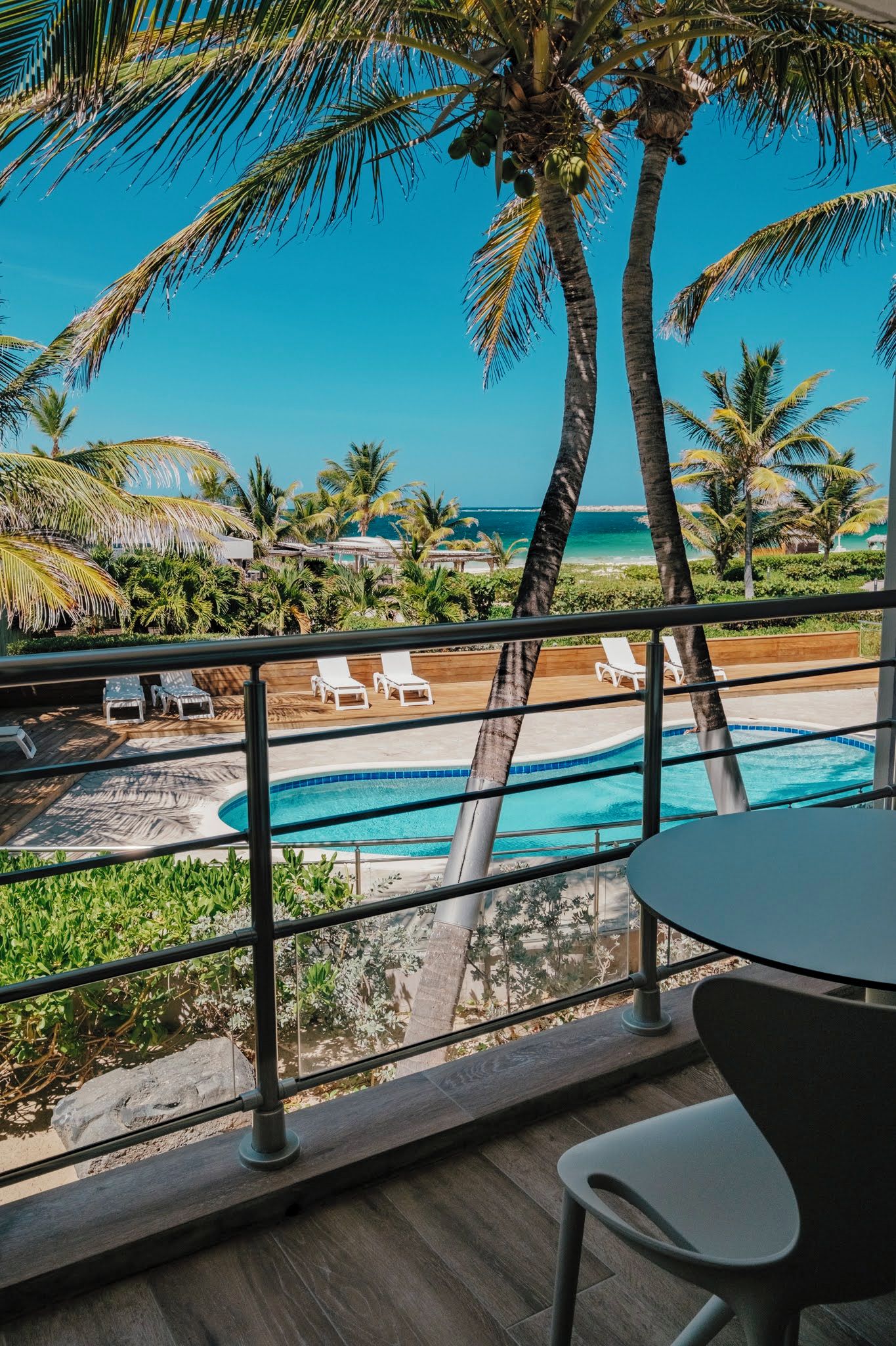 Vista de la piscina con una vista despejada del océano, palmeras y sillas de descanso.