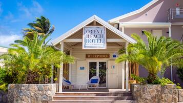 A hotel entrance with a reception desk, palm trees, and a stone wall.