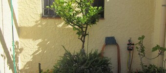 Holiday house St Cyprien for 1 - 6 persons with 3 bedrooms - Row house