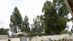 A paved driveway leading to a gated entrance with a car parked nearby. - The Palm Lodge (Isibania)