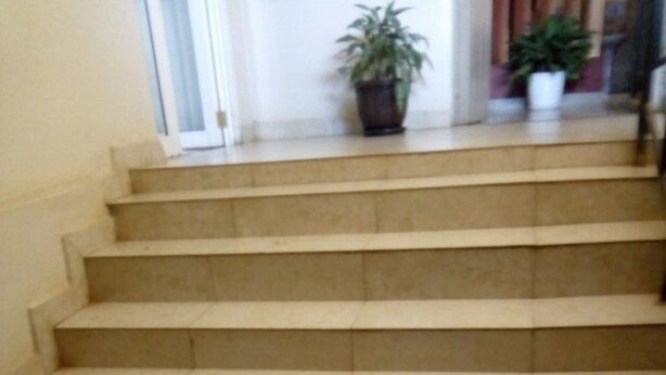 A set of beige carpeted stairs leading to a landing with potted plants. - Bungoma Midtown Hotel (Bungoma)