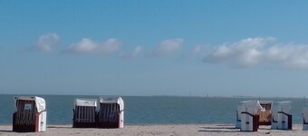 Cozy country house surrounded by beautiful North Sea beaches