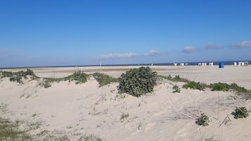 靠近海滩、沙滩椅
